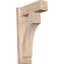 Sapin Douglas-109329537-113998552