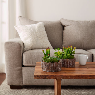 Faux plantes grasses, assorties 8 po de hauteur - Arrangement de verdure dans des jardinières décoratives en béton pour la maison ou le bureau
