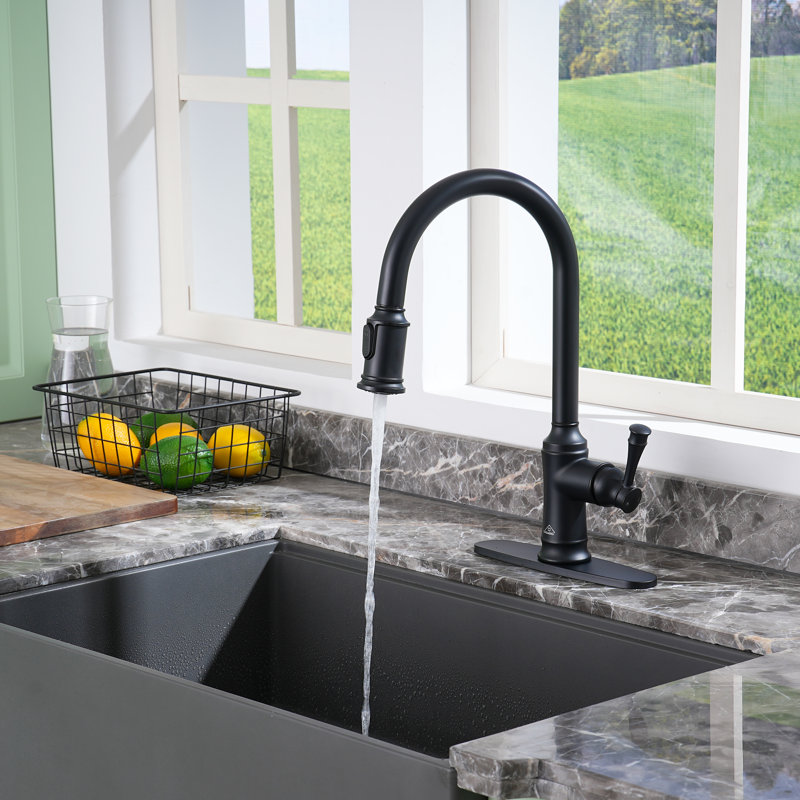 Matte Black Stainless Steel Pull-Out Kitchen Faucet
