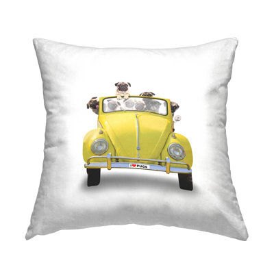 Polyester Throw Square Pillow Cover & Insert