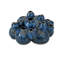 Sulawasi Blue Shells