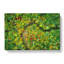 Road Through The Forest - Wrapped Canvas Print-56640458