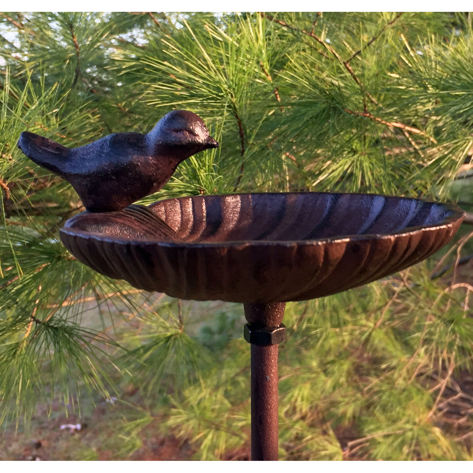 Aleana Scallop Shell Birdbath