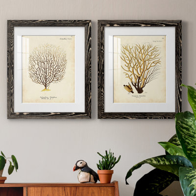 Esper Sea Fans II, toile encadrée de qualité supérieure - prête à être accrochée
