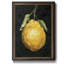 Citron foncé II - peinture sur toile encadrée-1554815335