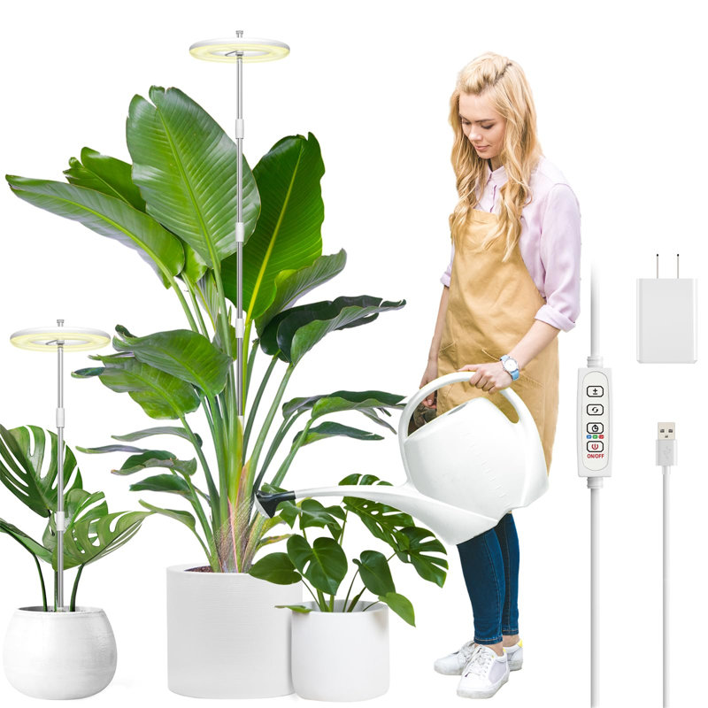 Ivy Bronx Grow Light