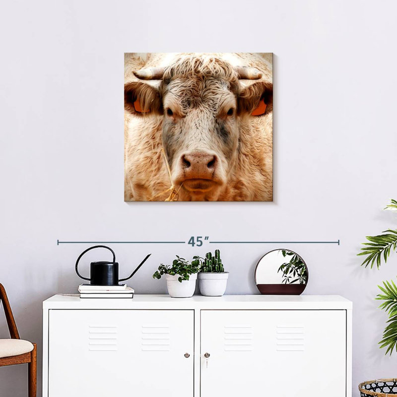 Brampt Mighty Bull, 24" H x 24" W