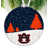 Auburn University