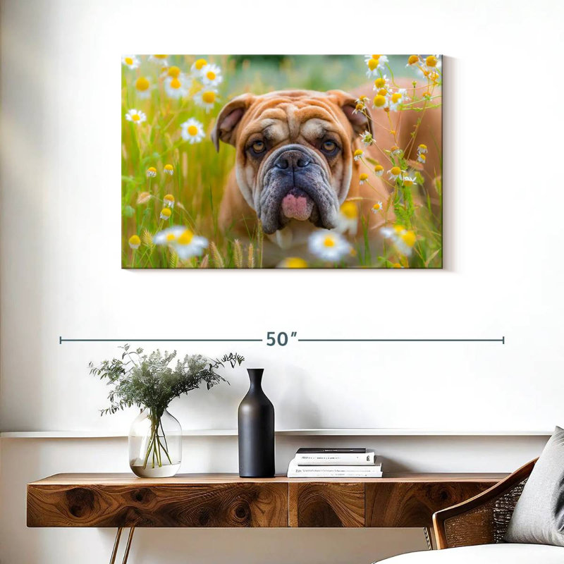 Bouledogue anglais Brampt jouant, H 24 po x l 36 po