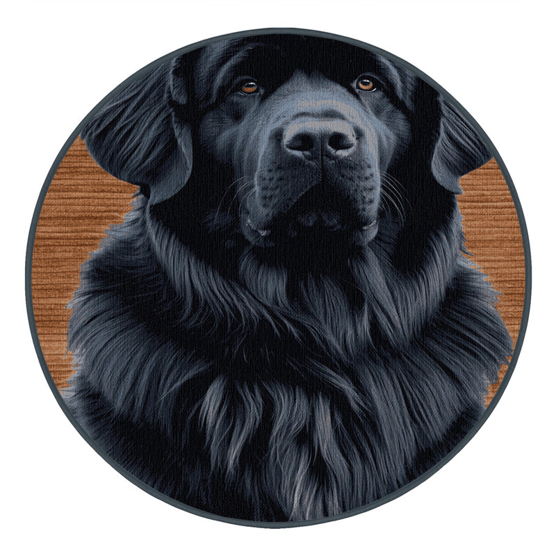  Tapis lavable pour chiens Terre-Neuve, Rond 5 pi