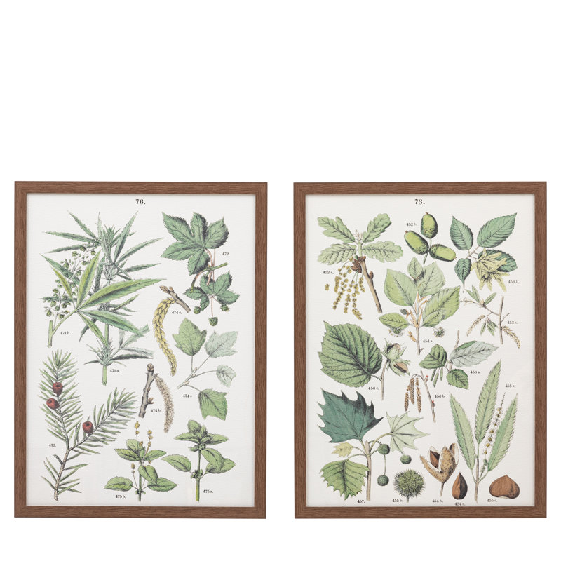Foliage Study Framed Art