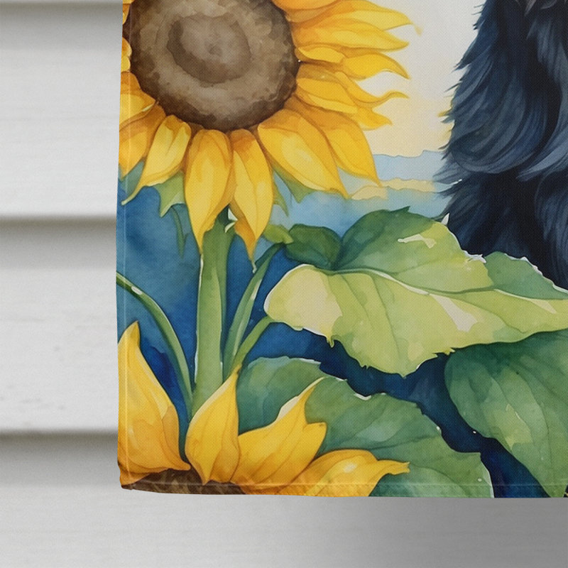 Drapeau de la maison du tournesol Malamute d'Alaska, Terrier écossais