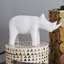 Rhino-Matte White-64094855