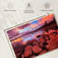Alvord, teinte rose du lac Tahoe-107672049