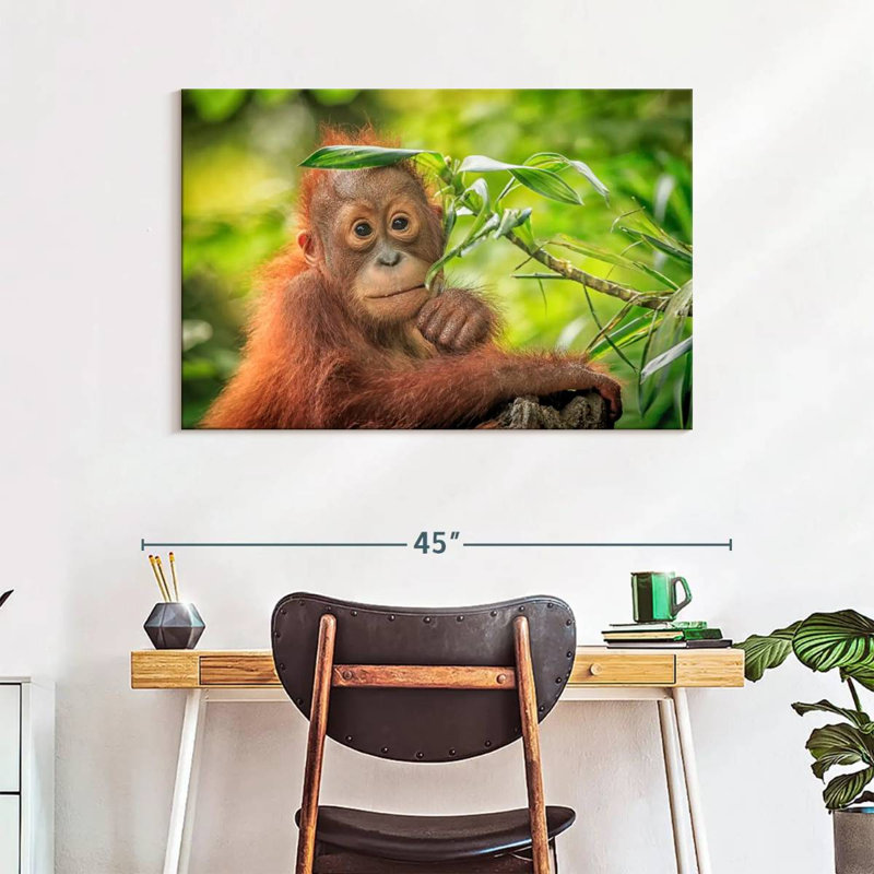 Leaf Munching Orangutan, 26" H x 39" W