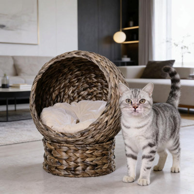 Fauteuil pour chat, lit surélevé pour chat