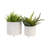 Charmayne Stoneware Ceramic Planter Set with Textured Design and Footed Base - Set of 2-1208997732
