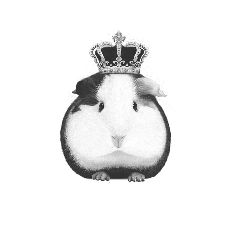 Guinea Pig King by Valeriya Korenkova - Wrapped Canvas Painting, 20.32 cm H x 30.48 cm W