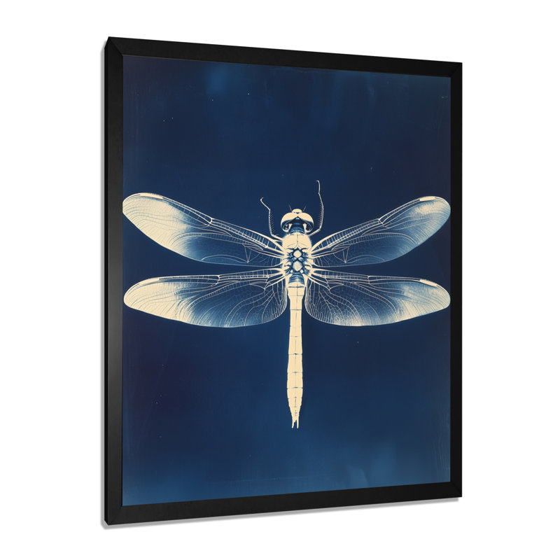 Libellule en bleu de Prusse II - Tableau d'histoire naturelle encadré, H 44 po x l 34 po, Black Picture Framed