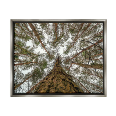 Art mural sur toile flottant au-dessus d'une branche d'arbre par Martin Podt