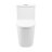 Dreux One Piece Elongated Dual Flush Toilet with 0.95/1.26 GPF-72595019-121350100-121350103
