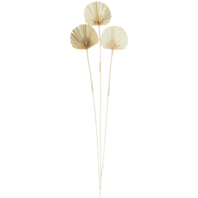 Modoc Dried Plant Tall Palm Leaf Decor Brown Natural Foliage with Grass