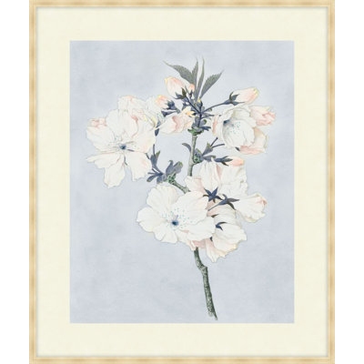 Delicate Flower Branch 1 Print