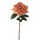 WESTMINSTER ROSE STEM