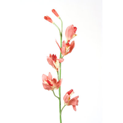 Polysilk Orchid Arrangement