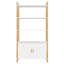 153cm H x 80cm W Standard Bookcase
