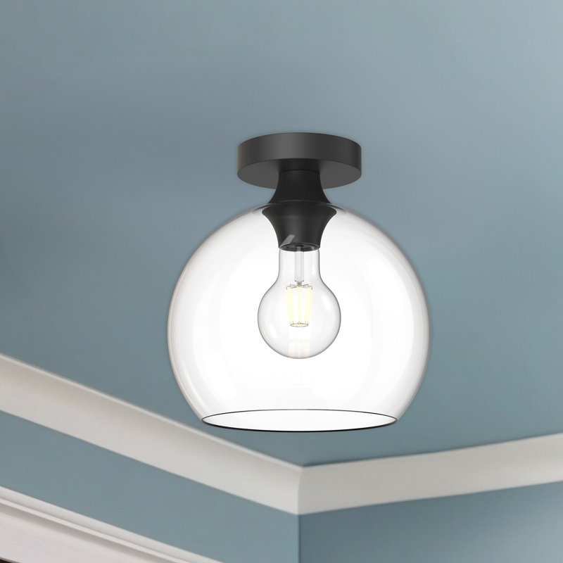 Matte Black and Clear Glass Globe Flush Mount Light