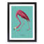 Flamingo in Teal by John Audubon - Framed Print-62801675-62801679