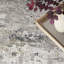 Distinctive Power Loom Synthetic Fibers Abstract Area Rug in Gray/Ivory