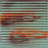Ridged Metal Corrugated 2 Ft. Drop-In PVC Ceiling Tile-80631258-80631256