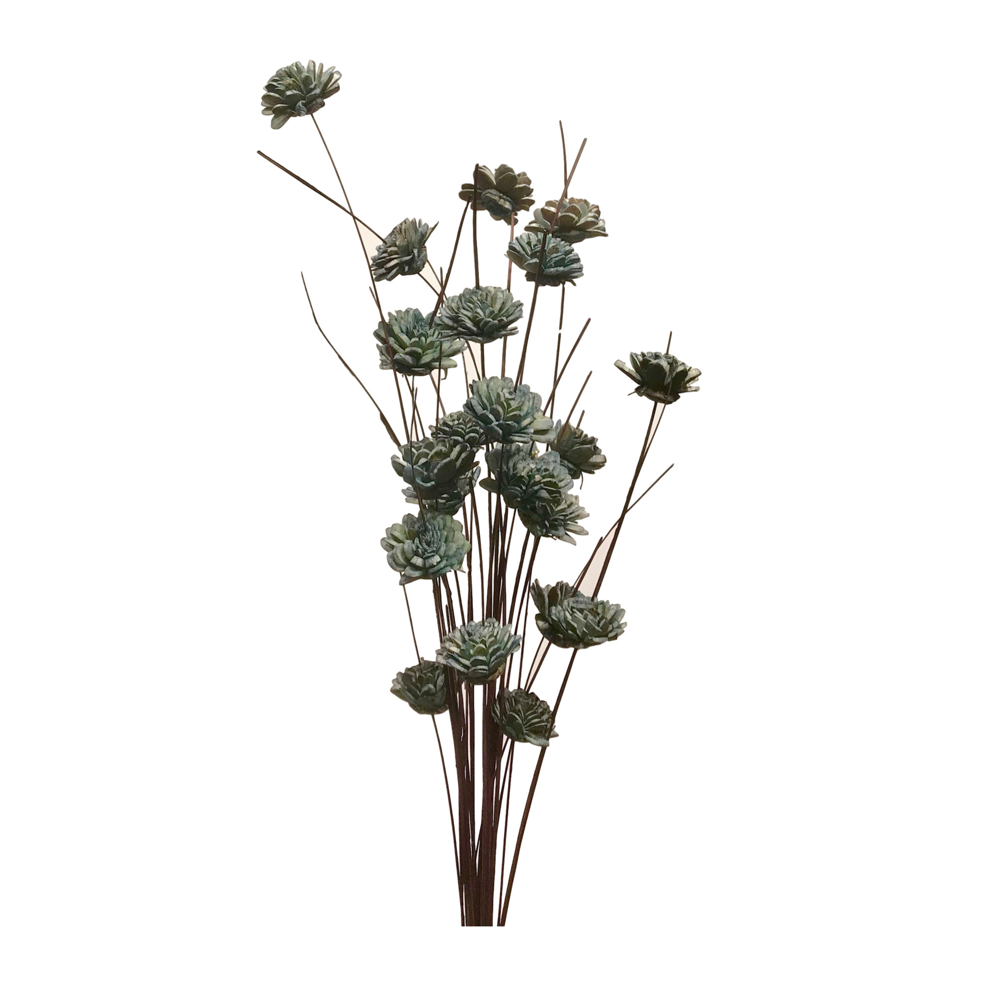 Ting Zinnia Stem, Seafoam Turquoise/Carmel