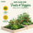 Wood Raised Garden Bed-1082765797