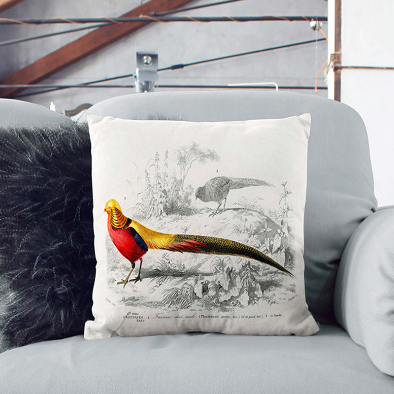Male Golden Pheasant by Charles D' Orbigny Cushion with Filling, 40cm H x 40cm W x 15cm D