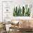 Harnek Desert Cactus Pattern-107878317