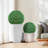20" Set of 2 Artificial Boxwood Topiary Balls, Faux Greenery-1239434653