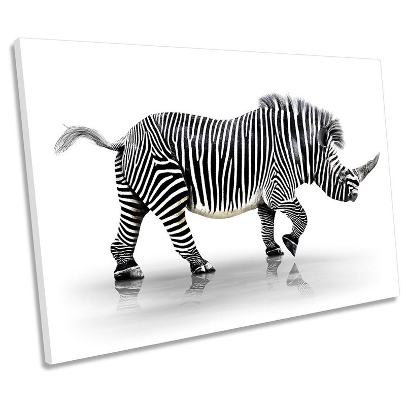 Rhino Striped Zebra - Wrapped Canvas Print, 30.5cm H x 45.7cm W x 2cm D