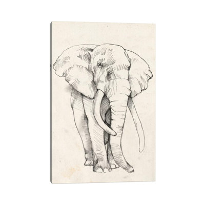 Elephant Portrait II by Jennifer Goldberger - Wrapped Canvas Print