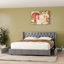 Lit rembourré en velours avec 4 tiroirs de rangement Better Home Products Izayah-812012295-812012411