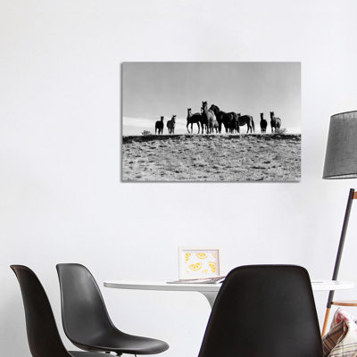 1950s Large Group of Wild Horses in Open Field 1 Piece Wrapped Canvas Wall Art
