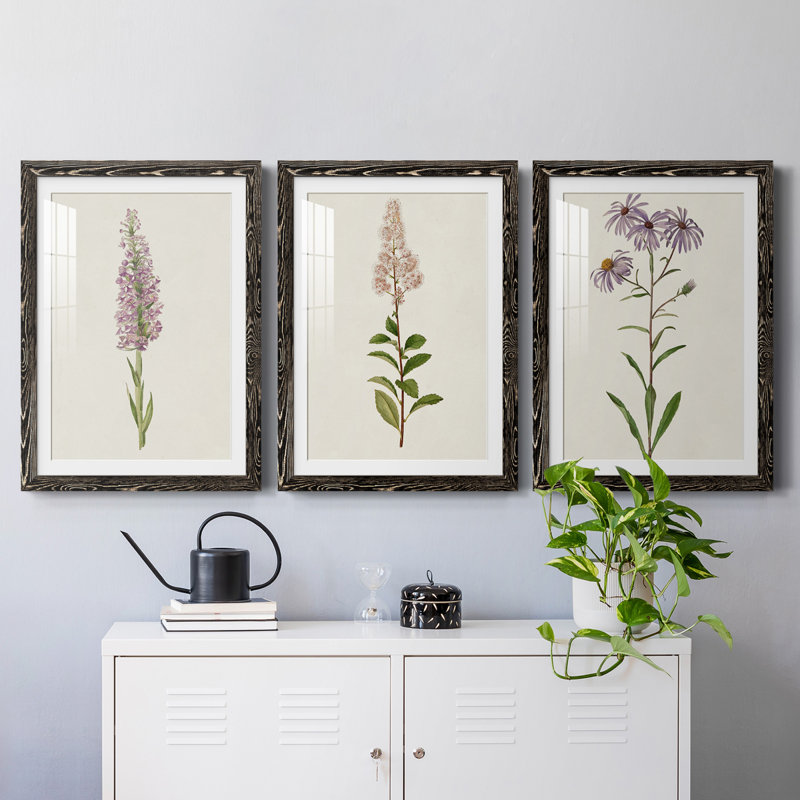 Mauve Garden Flowers I Premium encadré mat - prêt à être accroché, H 24 po x l 54 po x P 1,5 po, Noir