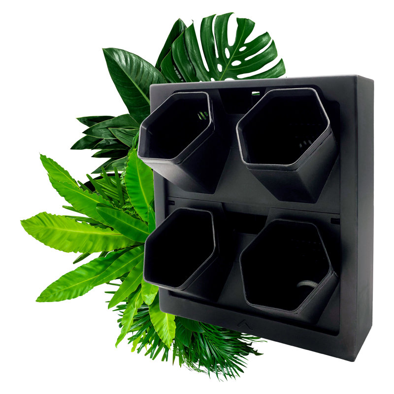 Wall Planter, Black