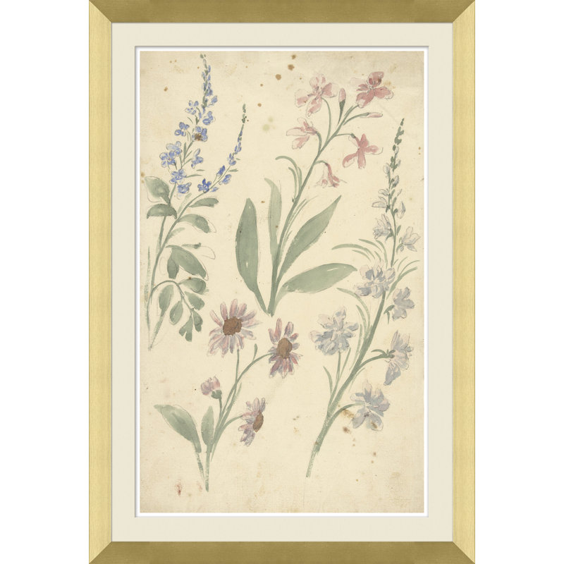 «Watercolor Flower Study», reproduction de peinture à l'aquarelle encadrée