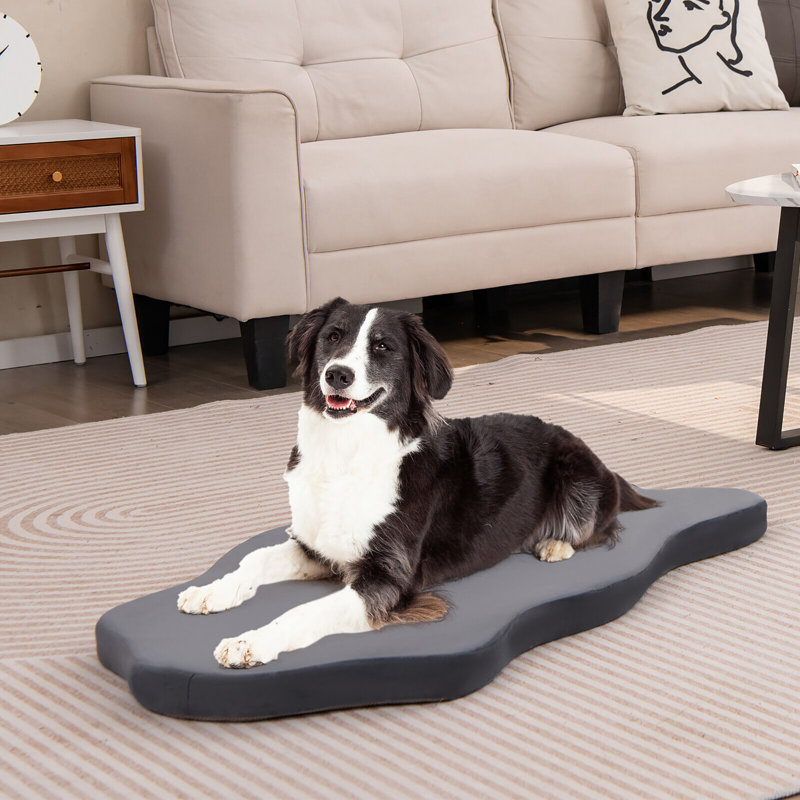 Edil Orthopedic Polyester Pet Bed, Gray