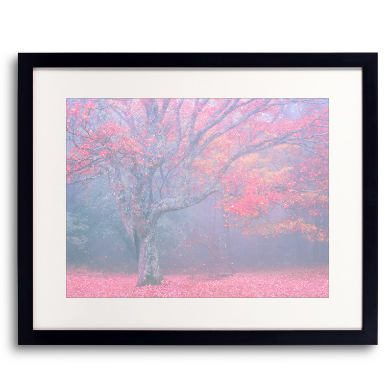 Autumn Portrait Blue Ridge Parkway #6 Print, Black Framed Paper, White, 24" H x 30" W