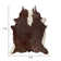 Dante Performance Cowhide Animal Print Indoor Rug