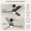 Ventilateur de plafond Honoria